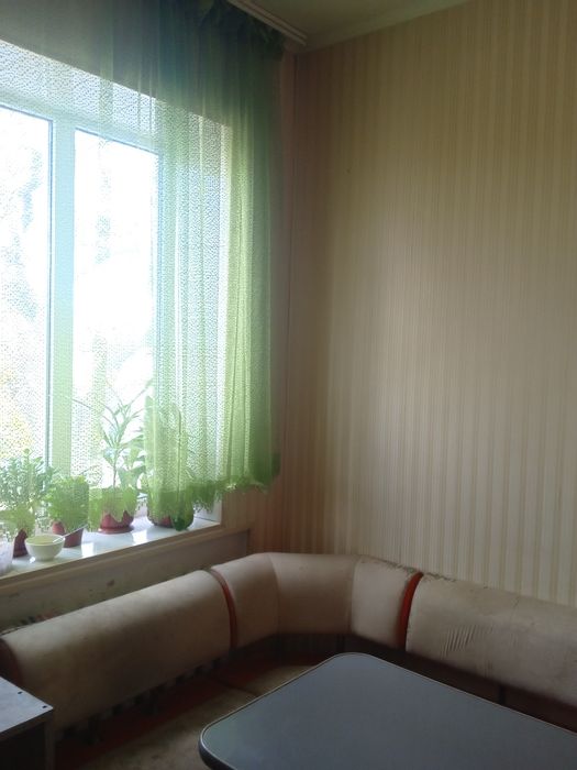 Продам будинок в  центрі міста Верходніпровськ