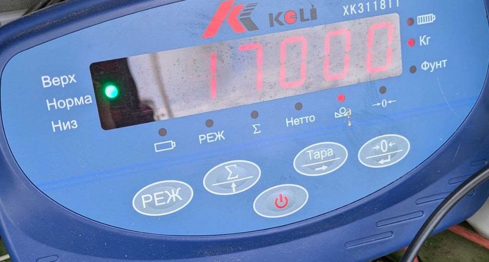 Ремонт і технічне обслуговування автомобільних ваг