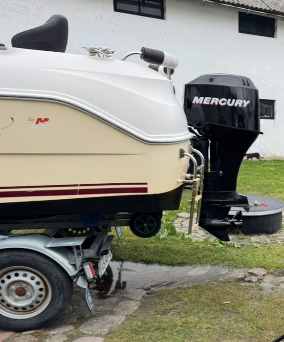 Quicksilver Mercury 50 EFI