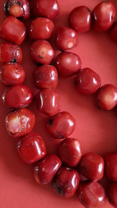 Korale z kamienia koral