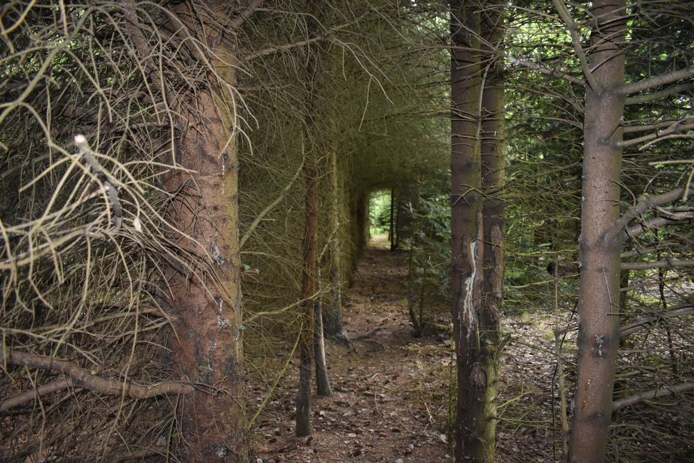 Działka nad jeziorem (jezioro, las, góry)