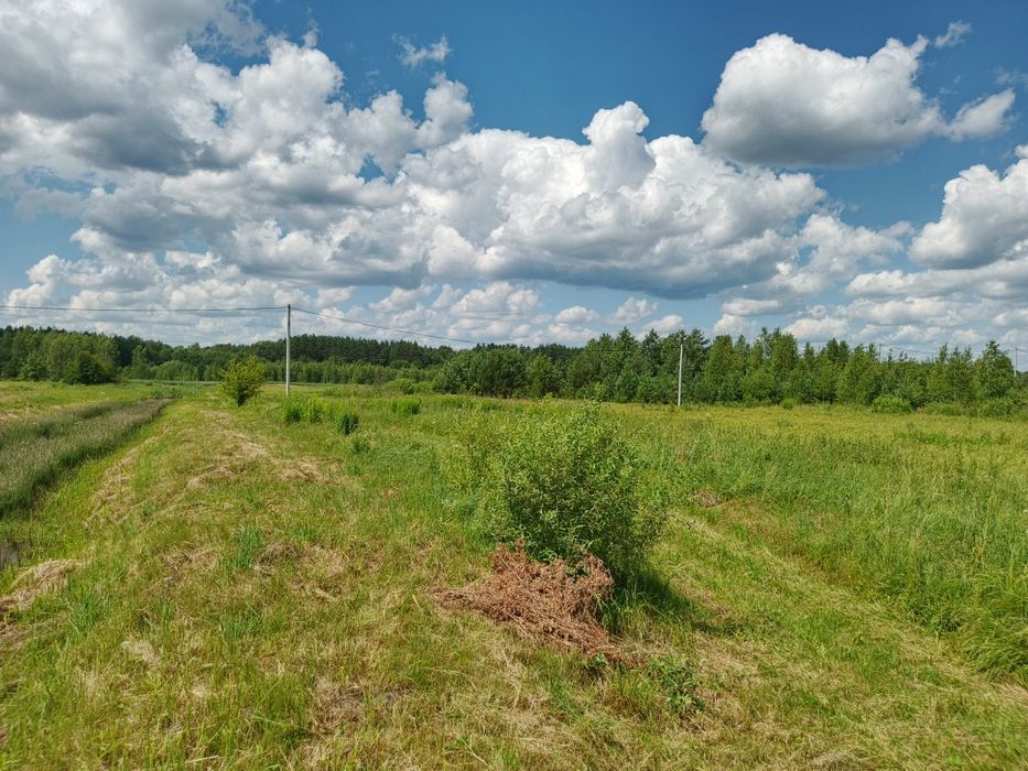 Продам пай 1.7 га