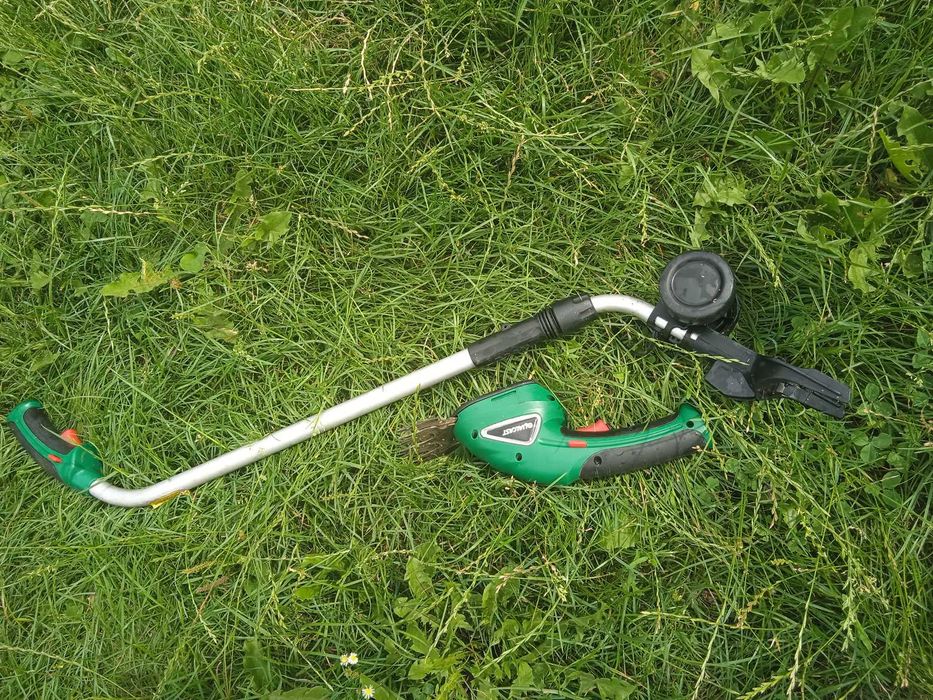 Кущоріз акумулятоний