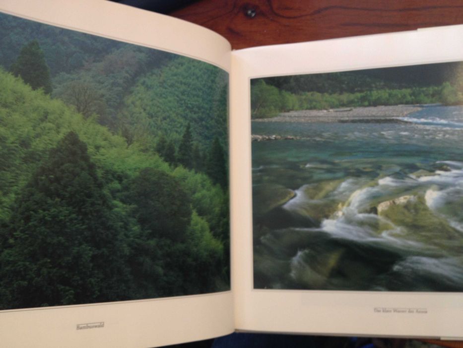 Bäume und Gräser, photographien von Shinzo Maeda