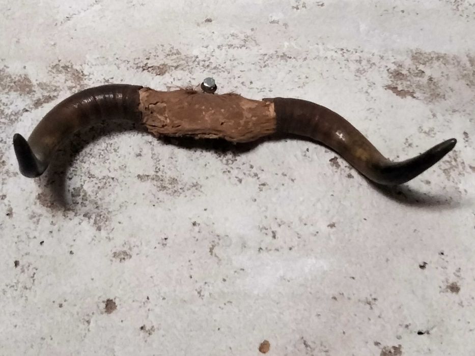 Tampo de barril em madeira