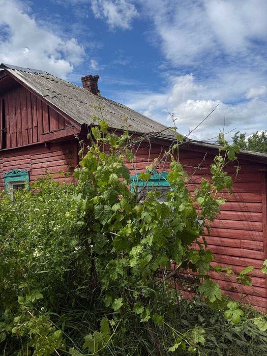 Продаж теплого будинку в смт Березне неподалік від центру