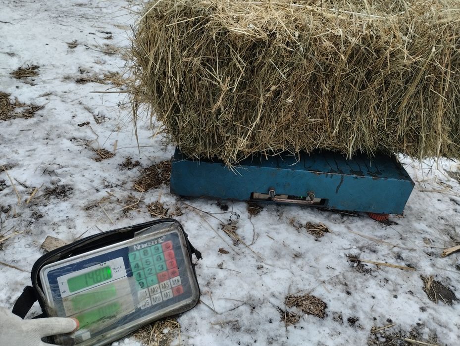 Сіно солома не дорого