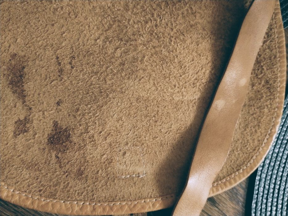 Karmelowa listonoszka