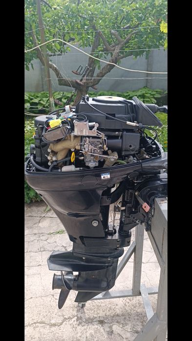 Mercury 15 4T. 2017 starter