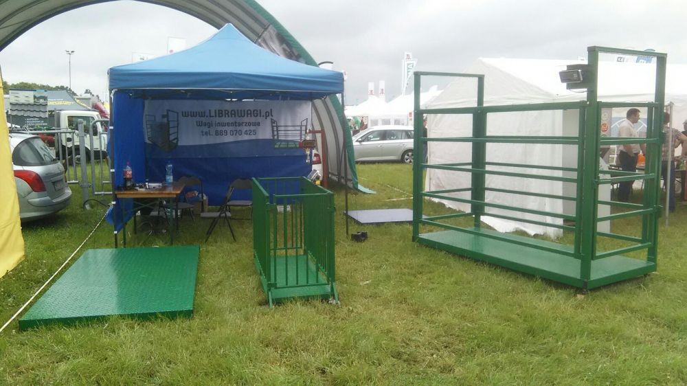 Waga inwentarzowa do tuczników, trzoda, żywca, świń elektroniczna