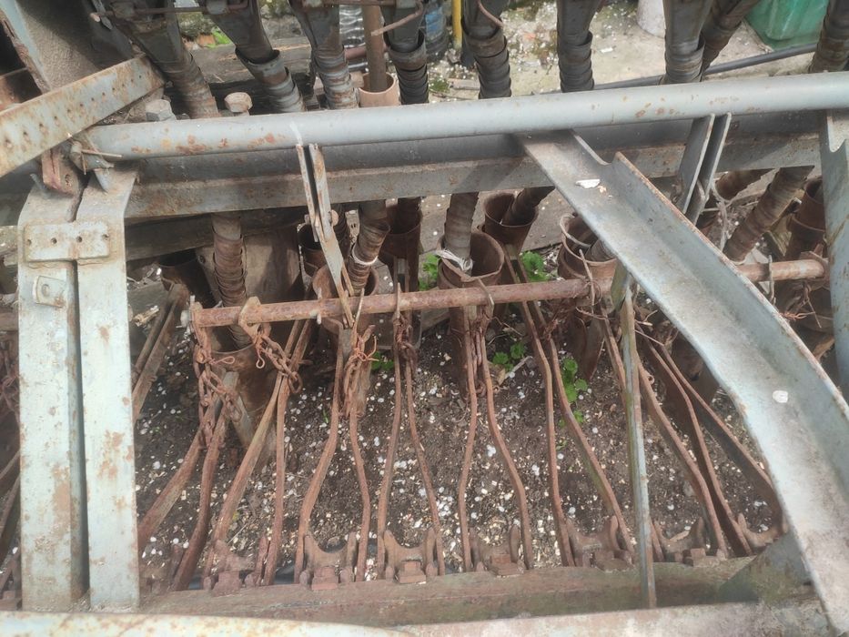 Сівалка польська