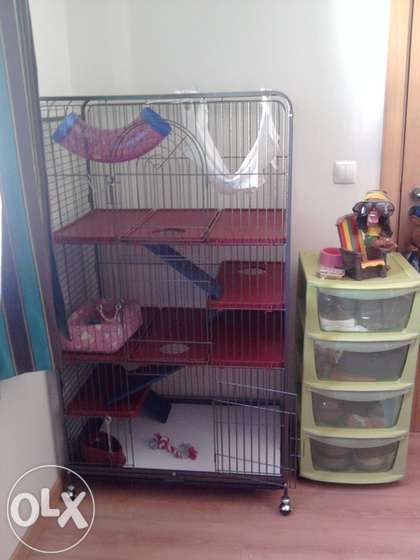 Gaiola nova para furão ou chinchila de 3 Pisos