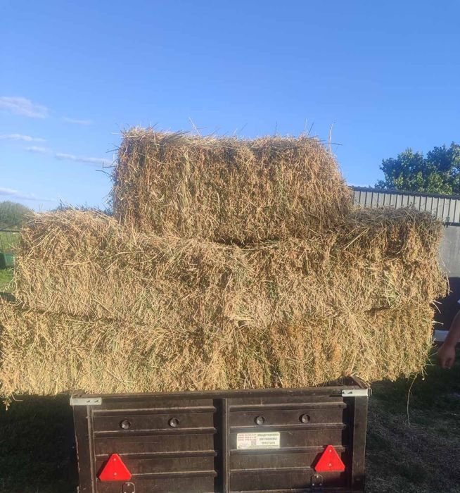 Продам Сіно Люцерни і Солому