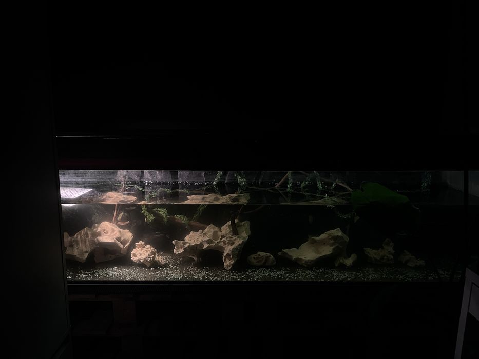 Akwarium 200x50x50