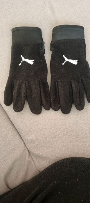 Печатки пума орігінал