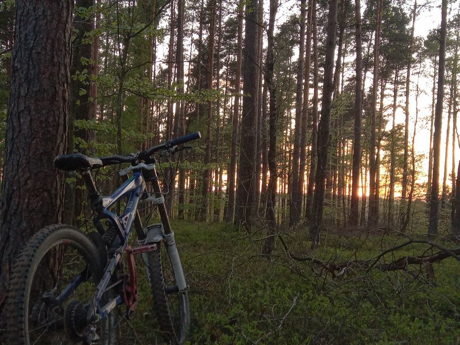 Mongoose Black Diamond Triple Downhill Mtb