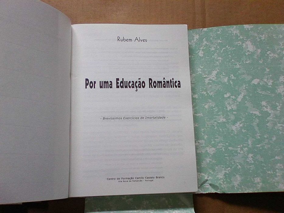Por uma educação Romântica