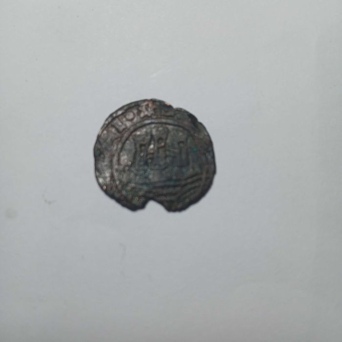 Lote de 4 Ceitis