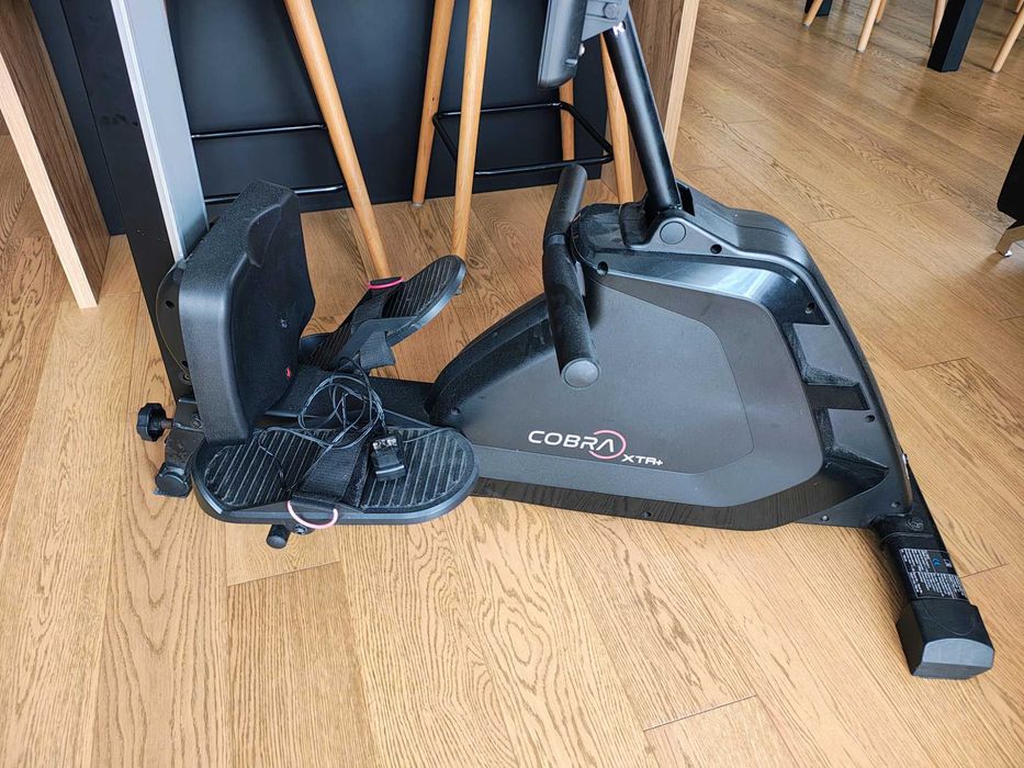 Wioślarz magnetyczny Hammer COBRA XTR PLUS II, Ergometr wioślarski