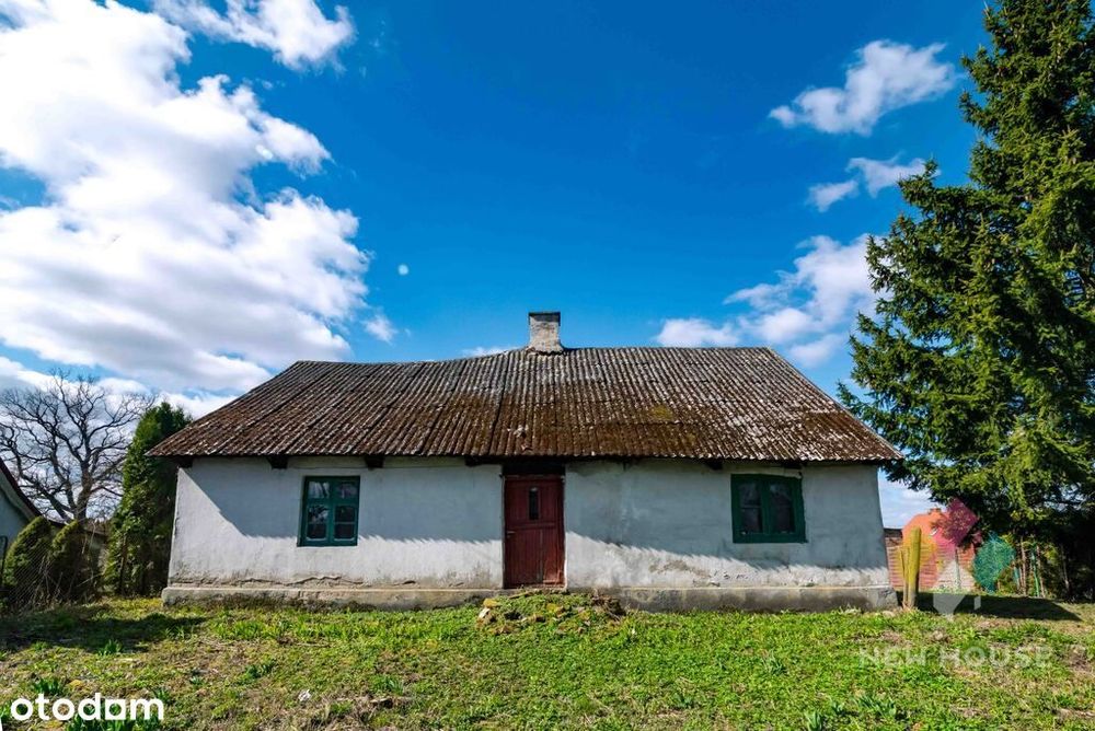 Zdjęcie 8