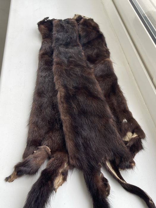 Продам шкурки норки