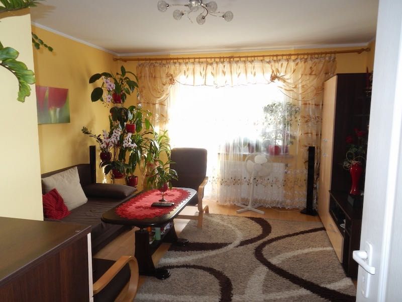 Do wynajęcia 2-pokojowe mieszkanie z własnym ogródkiem