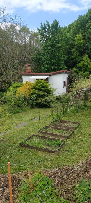 Działka rekreacyjna - Widok 6