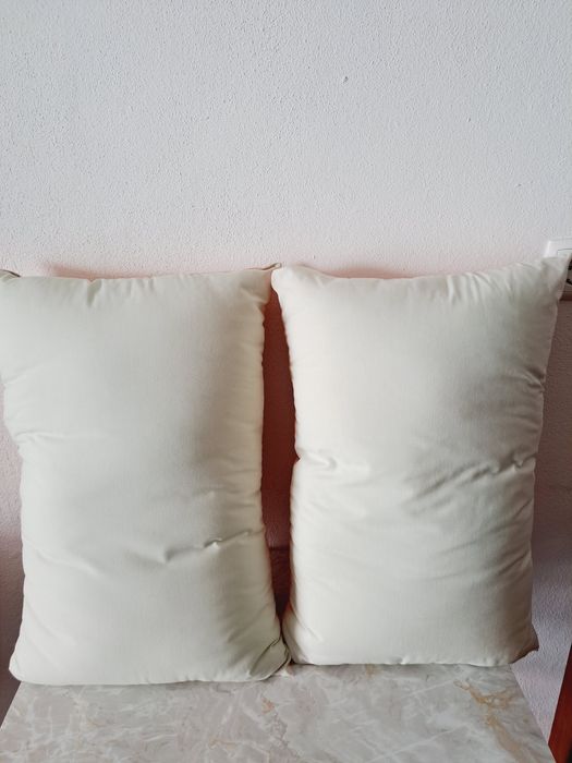 2 almofadas decorativas