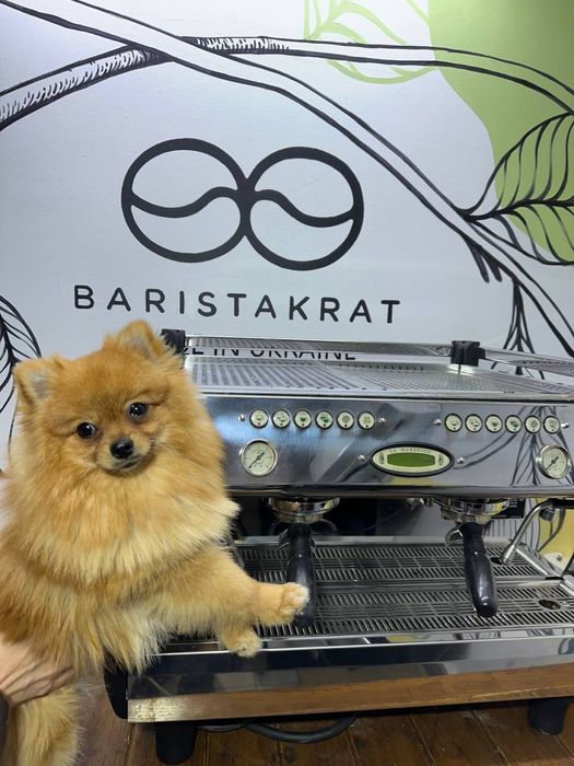 Професійна кавоварка La Marzocco