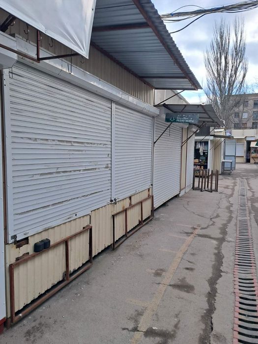 Отдам даром   ..