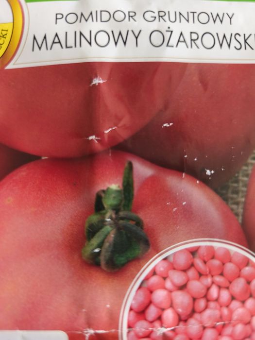 Pomidor malinowy ożarowski