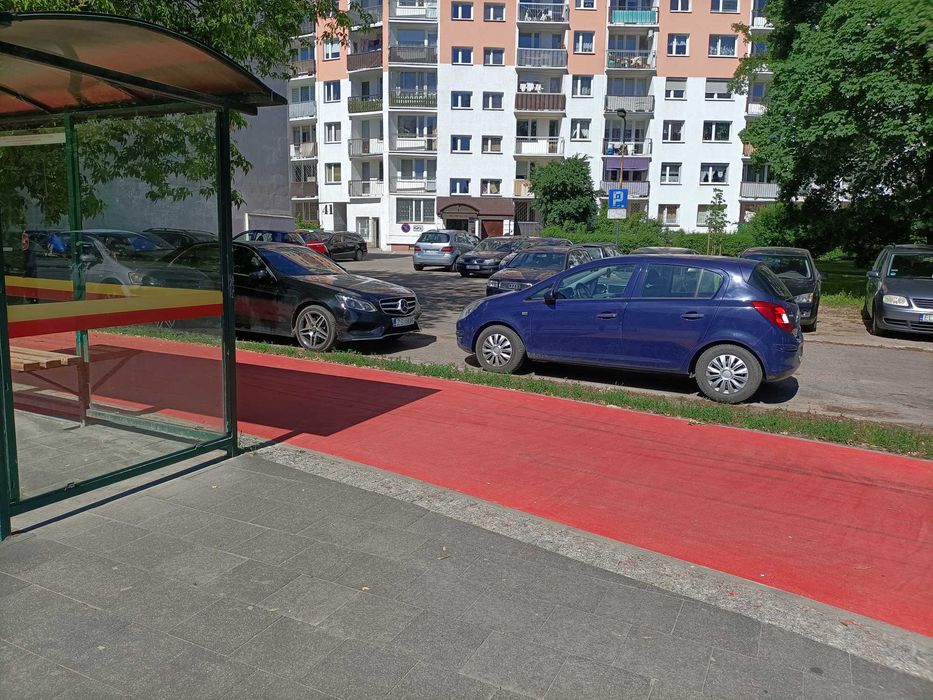 Zdjęcie 8