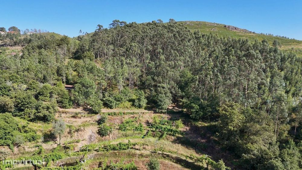 Quinta com 2 Hectares e Casa em Pedra para Recuperar em Gomide, Vila V