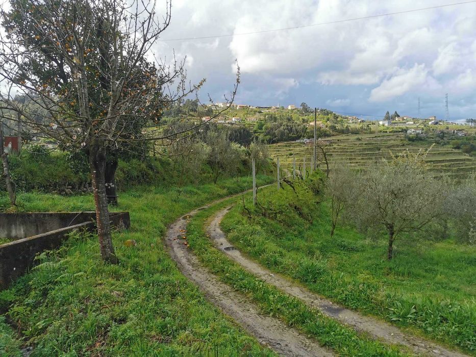 Quinta no Douro a 45min do Porto - Plano, tranquilo Varias construçoes