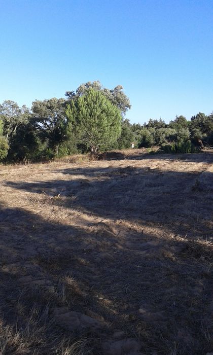 Terreno 7,800 m2  em Azambuja 60.000 €