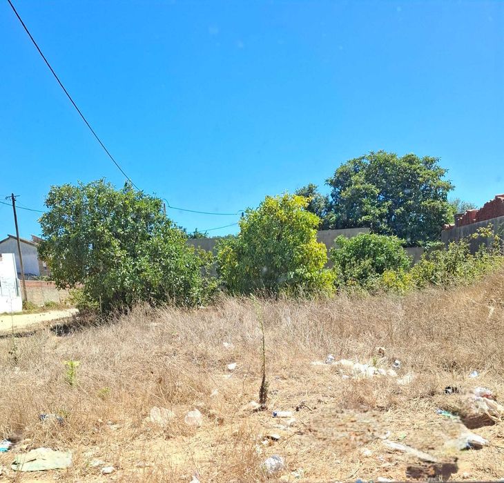 Lote de terreno Quinta do Anjo