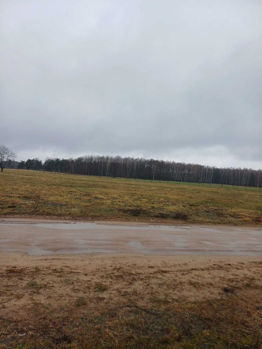 Działka na Mazurach!