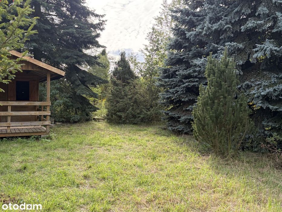 Wyjątkowa działka ze starodrzewem – Głowno/ prywatność/prestiż /natura