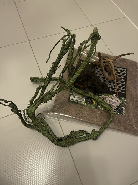 Dekoracje do terrarium