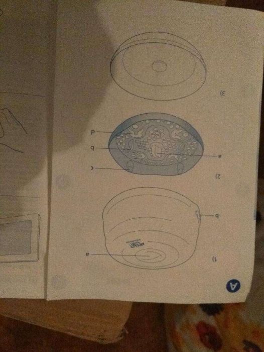 Esterilizador de biberões micro-ondas Avent