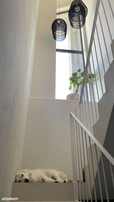 Mieszkanie 105 m² z ogrodem, garażem i 3 tarasami