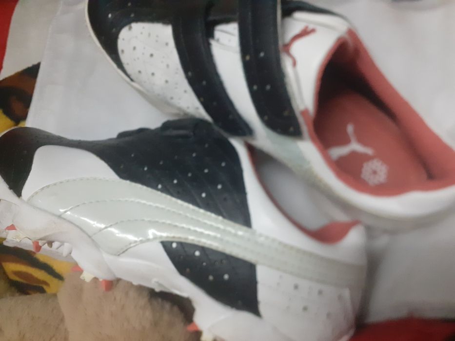 Buty puma do golfa