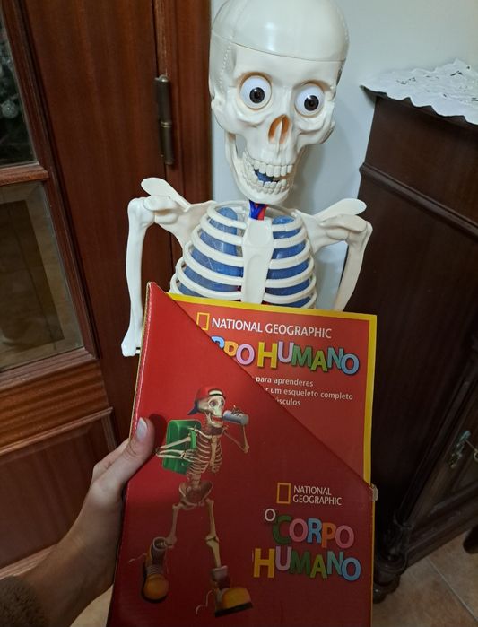 Esqueleto Corpo Humano - 110cm