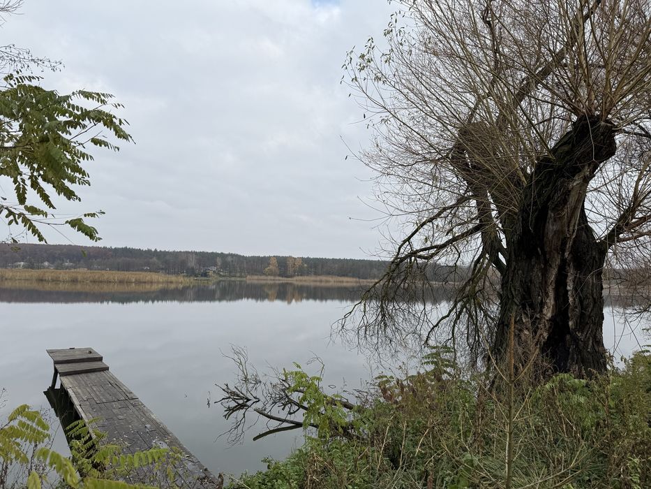 Продаж земельної ділянки 25 соток біля річки в селі Скраглівка.