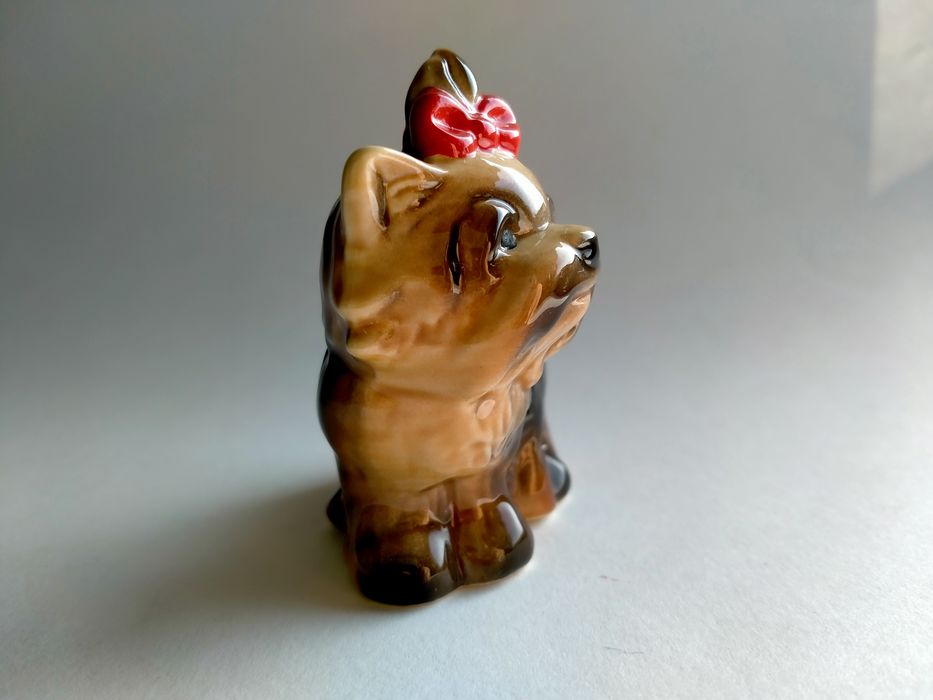 Yorkshire Terrier Goebel