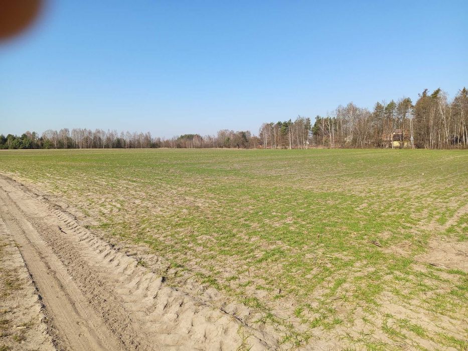 Działki na sprzedaż
