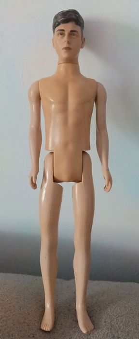 Barbie (Кен) від виробника Mattel з формованим (литим) темним волоссям і карими очима.
