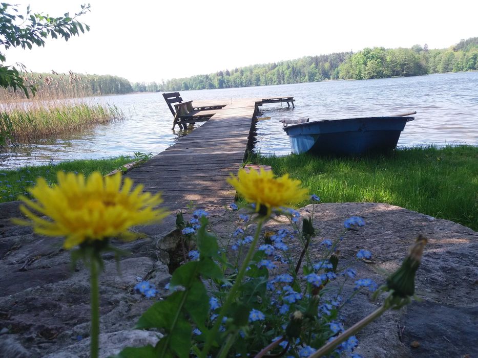 Agroturystyka Mazury nad samym jeziorem, Domki  w Bałowie
