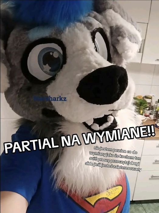 Fursuit furry kostium strój fursona