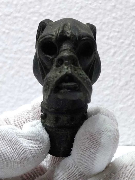 Rara maçaneta / cabo de bengala antigo cabeça de cão Bulldog